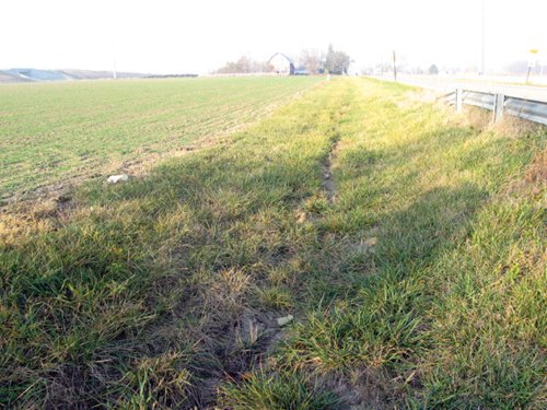 Property photo 19 - 60 Acres Offered in 2 Tracts